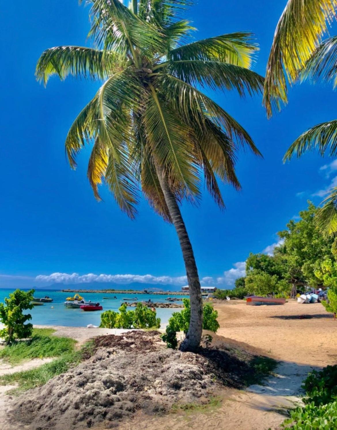 Coconuts Paradise Piscine Golf Avec Vue Panoramique Saint-Francois  Exterior photo